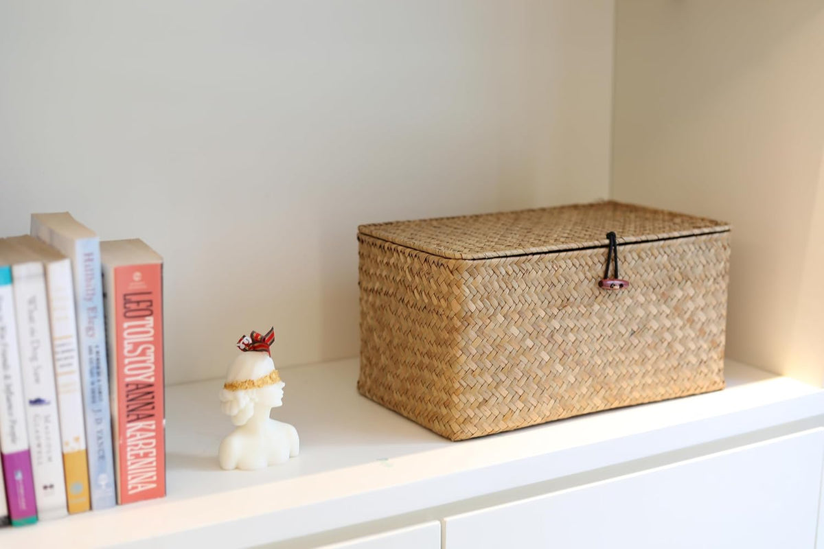 Rectangular Handwoven Seagrass Storage Basket with Lid for Shelves and Home Organizer Bin, (M (12"X7"X6"H), Natural)